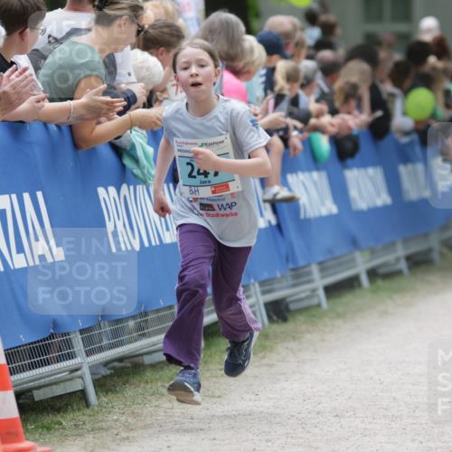 17.05.2025 - Störlauf H.Heesch http://msf.ph/oto/7864637 17.05.2025 13:41:44 Ziel  meine-sportfotos.de