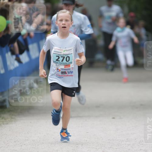 17.05.2025 - Störlauf H.Heesch http://msf.ph/oto/7864670 17.05.2025 13:41:48 Ziel  meine-sportfotos.de