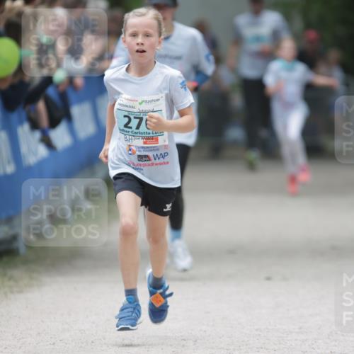 17.05.2025 - Störlauf H.Heesch http://msf.ph/oto/7864678 17.05.2025 13:41:48 Ziel  meine-sportfotos.de