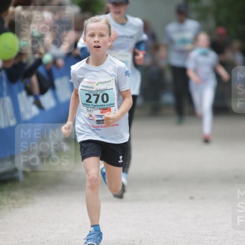 17.05.2025 - Störlauf H.Heesch http://msf.ph/oto/7864685 17.05.2025 13:41:49 Ziel  meine-sportfotos.de
