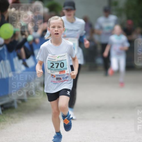 17.05.2025 - Störlauf H.Heesch http://msf.ph/oto/7864690 17.05.2025 13:41:49 Ziel  meine-sportfotos.de