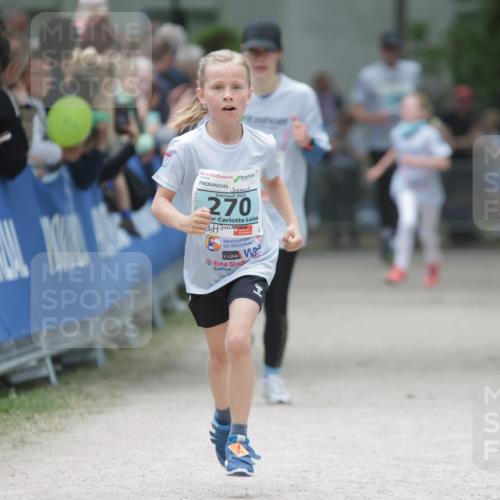 17.05.2025 - Störlauf H.Heesch http://msf.ph/oto/7864696 17.05.2025 13:41:49 Ziel  meine-sportfotos.de