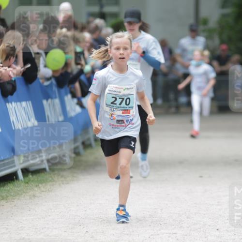 17.05.2025 - Störlauf H.Heesch http://msf.ph/oto/7864701 17.05.2025 13:41:49 Ziel  meine-sportfotos.de