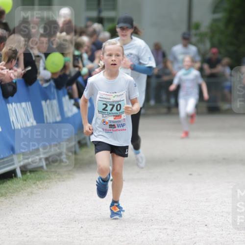 17.05.2025 - Störlauf H.Heesch http://msf.ph/oto/7864706 17.05.2025 13:41:49 Ziel  meine-sportfotos.de