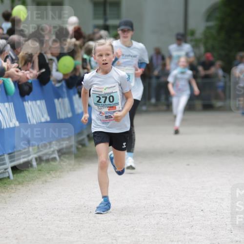 17.05.2025 - Störlauf H.Heesch http://msf.ph/oto/7864720 17.05.2025 13:41:49 Ziel  meine-sportfotos.de