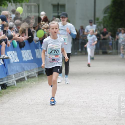 17.05.2025 - Störlauf H.Heesch http://msf.ph/oto/7864732 17.05.2025 13:41:50 Ziel  meine-sportfotos.de