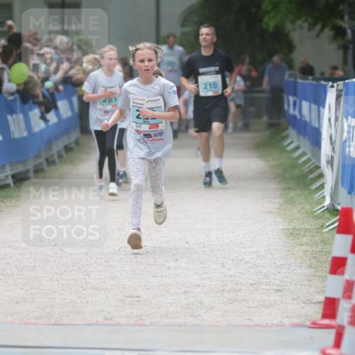 17.05.2025 - Störlauf H.Heesch http://msf.ph/oto/7864927 17.05.2025 13:42:08 Ziel  meine-sportfotos.de