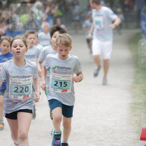 17.05.2025 - Störlauf H.Heesch http://msf.ph/oto/7865066 17.05.2025 13:42:18 Ziel  meine-sportfotos.de