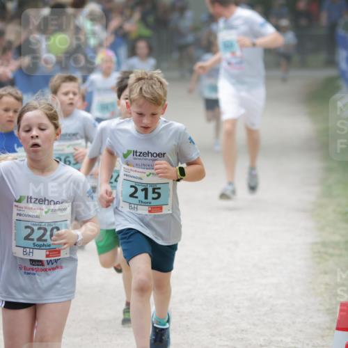 17.05.2025 - Störlauf H.Heesch http://msf.ph/oto/7865071 17.05.2025 13:42:18 Ziel  meine-sportfotos.de