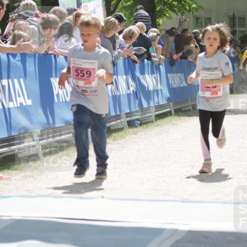 17.05.2025 - Störlauf H.Heesch http://msf.ph/oto/7865236 17.05.2025 14:02:29 Ziel  meine-sportfotos.de