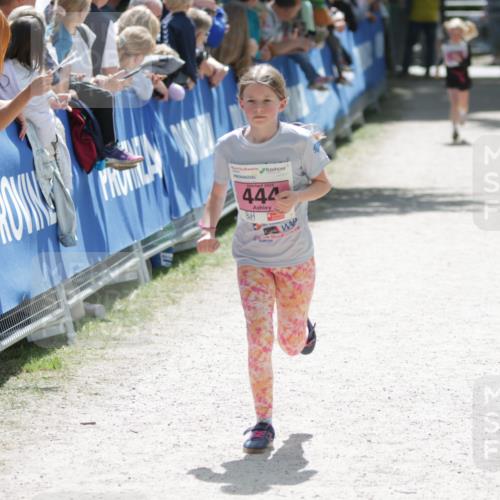 17.05.2025 - Störlauf H.Heesch http://msf.ph/oto/7865497 17.05.2025 14:04:51 Ziel  meine-sportfotos.de