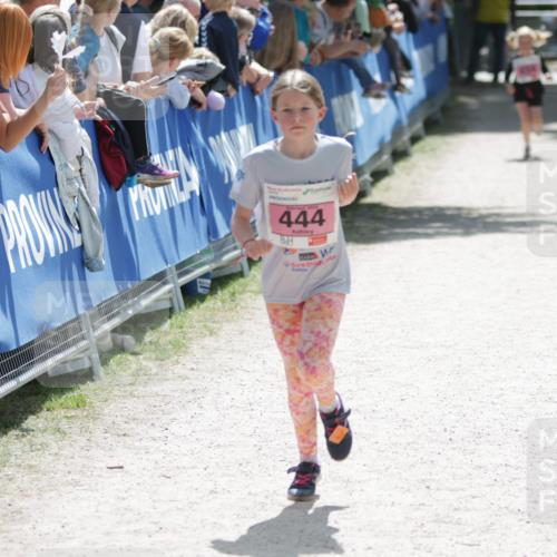 17.05.2025 - Störlauf H.Heesch http://msf.ph/oto/7865501 17.05.2025 14:04:51 Ziel  meine-sportfotos.de