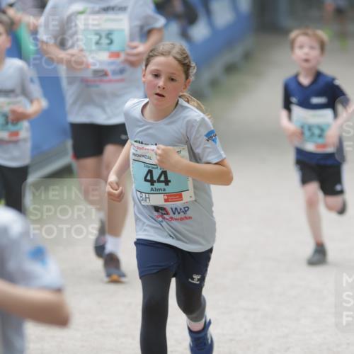 17.05.2025 - Störlauf H.Heesch http://msf.ph/oto/7866306 17.05.2025 13:42:33 Ziel  meine-sportfotos.de