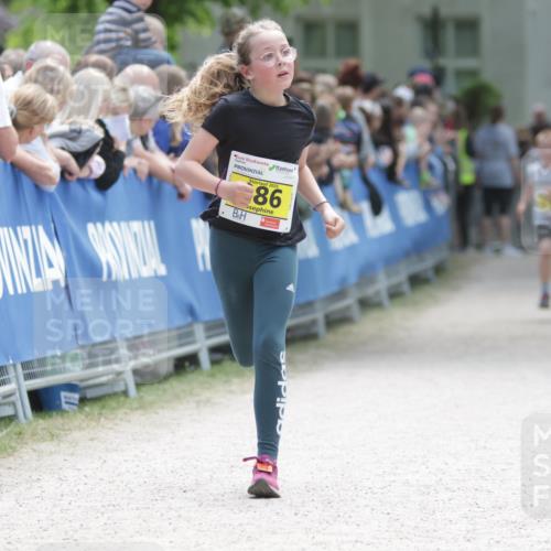 17.05.2025 - Störlauf H.Heesch http://msf.ph/oto/7866390 17.05.2025 14:10:48 Ziel  meine-sportfotos.de