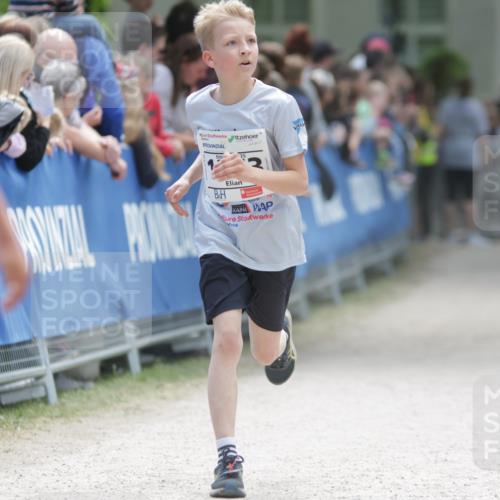 17.05.2025 - Störlauf H.Heesch http://msf.ph/oto/7866453 17.05.2025 14:10:55 Ziel  meine-sportfotos.de