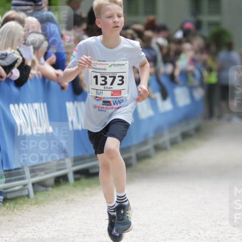 17.05.2025 - Störlauf H.Heesch http://msf.ph/oto/7866462 17.05.2025 14:10:55 Ziel  meine-sportfotos.de