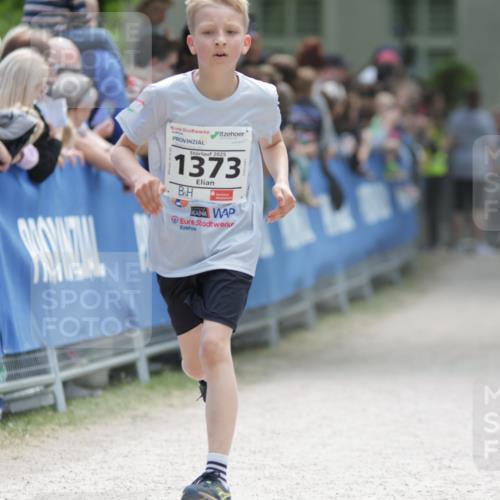 17.05.2025 - Störlauf H.Heesch http://msf.ph/oto/7866465 17.05.2025 14:10:55 Ziel  meine-sportfotos.de