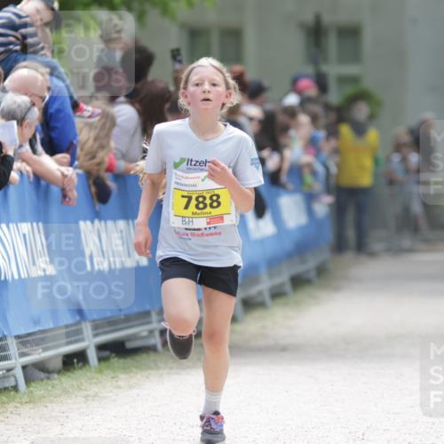 17.05.2025 - Störlauf H.Heesch http://msf.ph/oto/7866653 17.05.2025 14:11:23 Ziel  meine-sportfotos.de