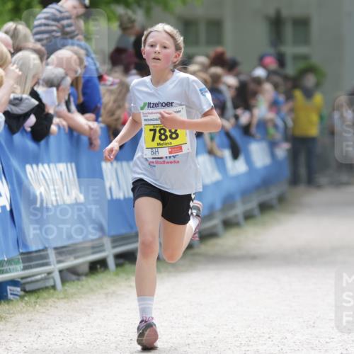 17.05.2025 - Störlauf H.Heesch http://msf.ph/oto/7866663 17.05.2025 14:11:23 Ziel  meine-sportfotos.de