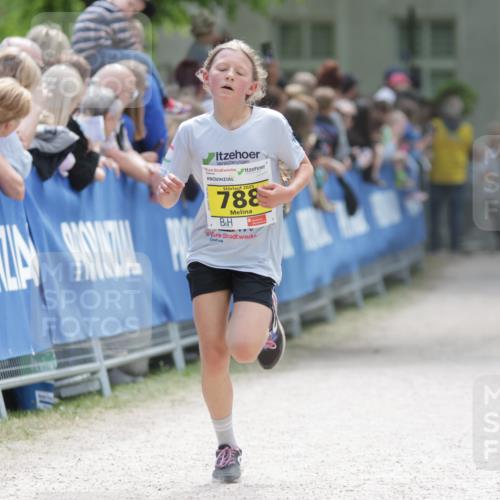 17.05.2025 - Störlauf H.Heesch http://msf.ph/oto/7866668 17.05.2025 14:11:24 Ziel  meine-sportfotos.de