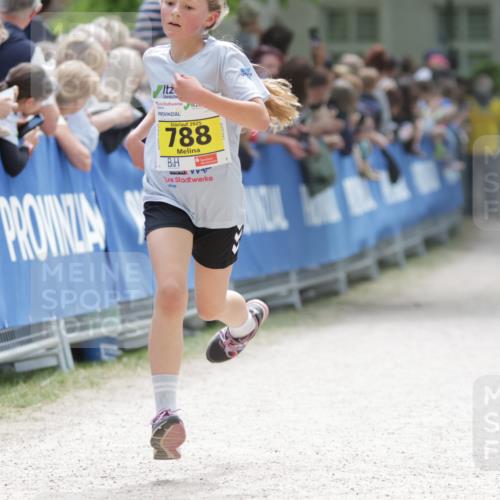 17.05.2025 - Störlauf H.Heesch http://msf.ph/oto/7866684 17.05.2025 14:11:24 Ziel  meine-sportfotos.de