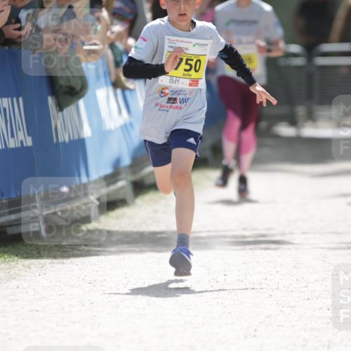 17.05.2025 - Störlauf H.Heesch http://msf.ph/oto/7866995 17.05.2025 14:12:12 Ziel  meine-sportfotos.de