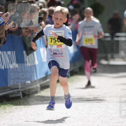 17.05.2025 - Störlauf H.Heesch http://msf.ph/oto/7867002 17.05.2025 14:12:12 Ziel  meine-sportfotos.de