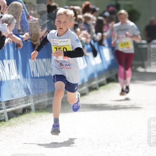 17.05.2025 - Störlauf H.Heesch http://msf.ph/oto/7867011 17.05.2025 14:12:13 Ziel  meine-sportfotos.de