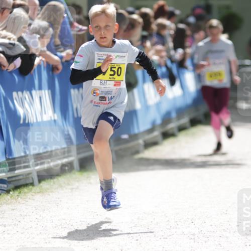 17.05.2025 - Störlauf H.Heesch http://msf.ph/oto/7867021 17.05.2025 14:12:13 Ziel  meine-sportfotos.de