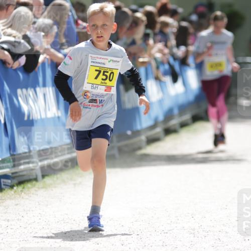 17.05.2025 - Störlauf H.Heesch http://msf.ph/oto/7867026 17.05.2025 14:12:13 Ziel  meine-sportfotos.de