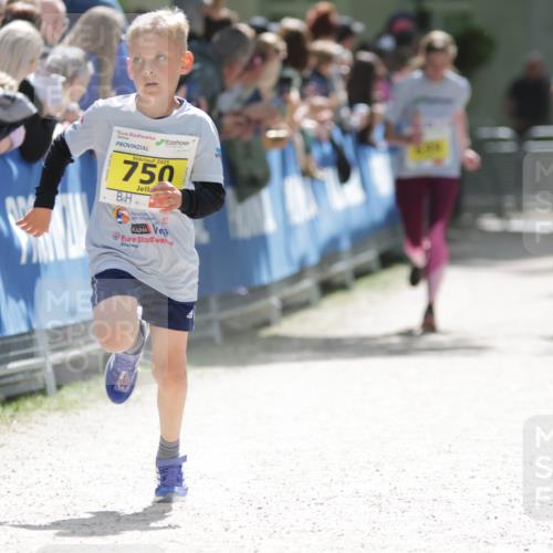 17.05.2025 - Störlauf H.Heesch http://msf.ph/oto/7867031 17.05.2025 14:12:13 Ziel  meine-sportfotos.de