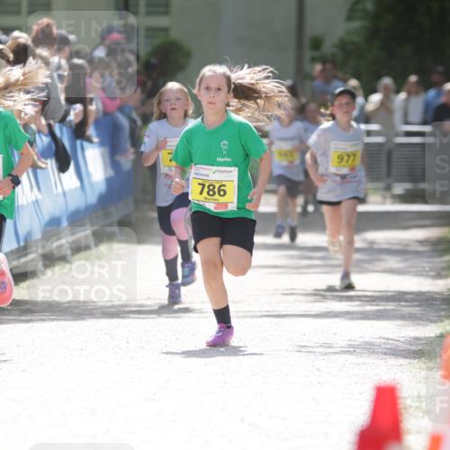 17.05.2025 - Störlauf H.Heesch http://msf.ph/oto/7867071 17.05.2025 14:12:20 Ziel  meine-sportfotos.de