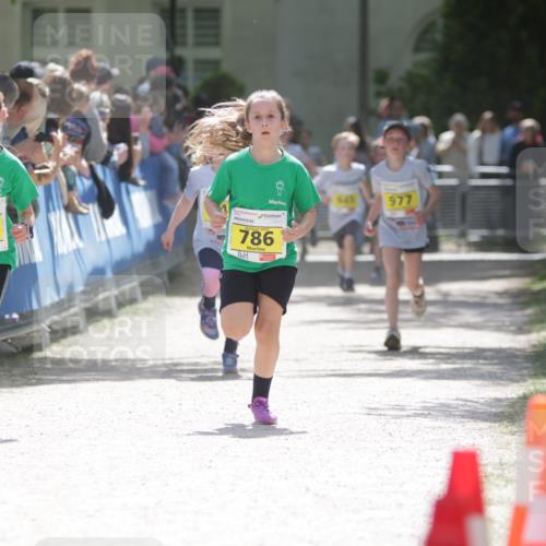 17.05.2025 - Störlauf H.Heesch http://msf.ph/oto/7867086 17.05.2025 14:12:20 Ziel  meine-sportfotos.de