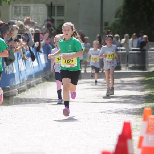 17.05.2025 - Störlauf H.Heesch http://msf.ph/oto/7867092 17.05.2025 14:12:20 Ziel  meine-sportfotos.de