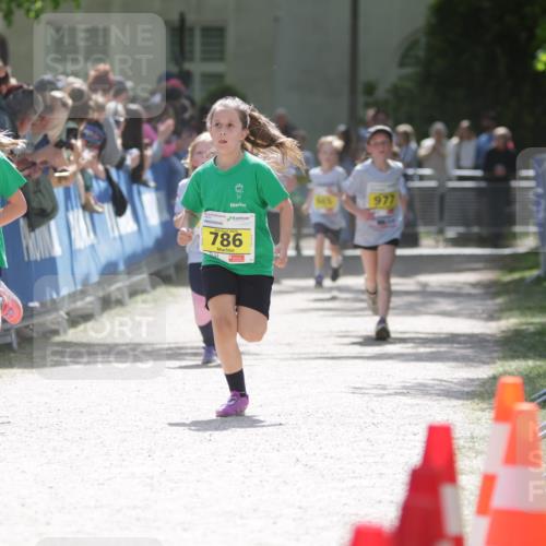 17.05.2025 - Störlauf H.Heesch http://msf.ph/oto/7867096 17.05.2025 14:12:20 Ziel  meine-sportfotos.de