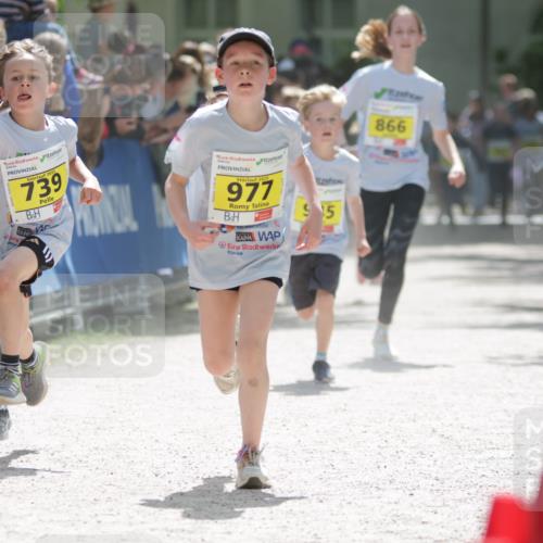 17.05.2025 - Störlauf H.Heesch http://msf.ph/oto/7867137 17.05.2025 14:12:25 Ziel  meine-sportfotos.de