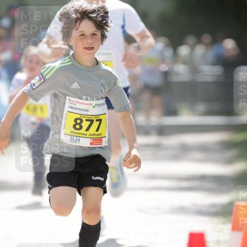 17.05.2025 - Störlauf H.Heesch http://msf.ph/oto/7867304 17.05.2025 14:12:37 Ziel  meine-sportfotos.de