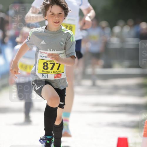 17.05.2025 - Störlauf H.Heesch http://msf.ph/oto/7867313 17.05.2025 14:12:37 Ziel  meine-sportfotos.de