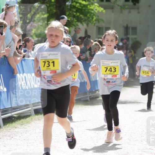 17.05.2025 - Störlauf H.Heesch http://msf.ph/oto/7867472 17.05.2025 14:12:50 Ziel  meine-sportfotos.de