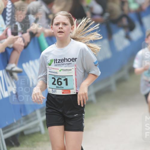 17.05.2025 - Störlauf H.Heesch http://msf.ph/oto/7867494 17.05.2025 13:42:38 Ziel  meine-sportfotos.de