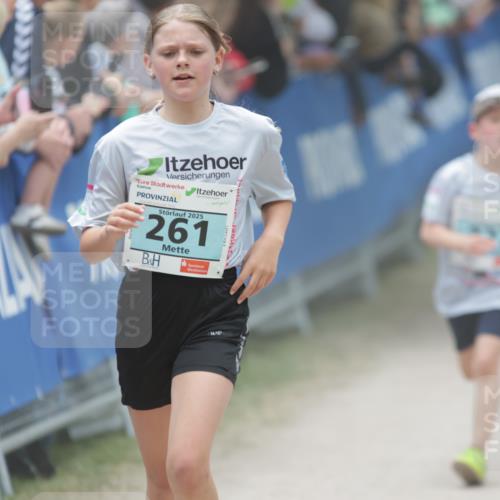 17.05.2025 - Störlauf H.Heesch http://msf.ph/oto/7867506 17.05.2025 13:42:38 Ziel  meine-sportfotos.de