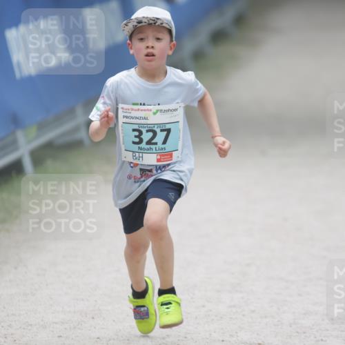 17.05.2025 - Störlauf H.Heesch http://msf.ph/oto/7867524 17.05.2025 13:42:40 Ziel  meine-sportfotos.de