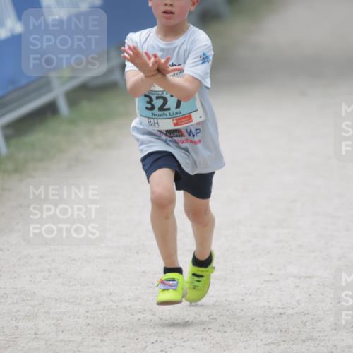 17.05.2025 - Störlauf H.Heesch http://msf.ph/oto/7867594 17.05.2025 13:42:40 Ziel  meine-sportfotos.de