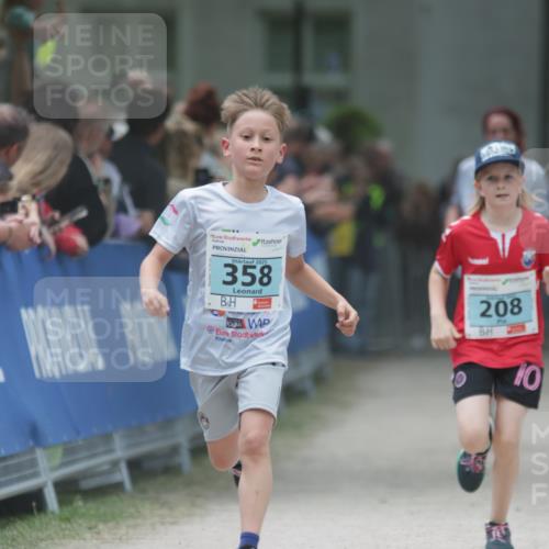 17.05.2025 - Störlauf H.Heesch http://msf.ph/oto/7867615 17.05.2025 13:42:46 Ziel  meine-sportfotos.de