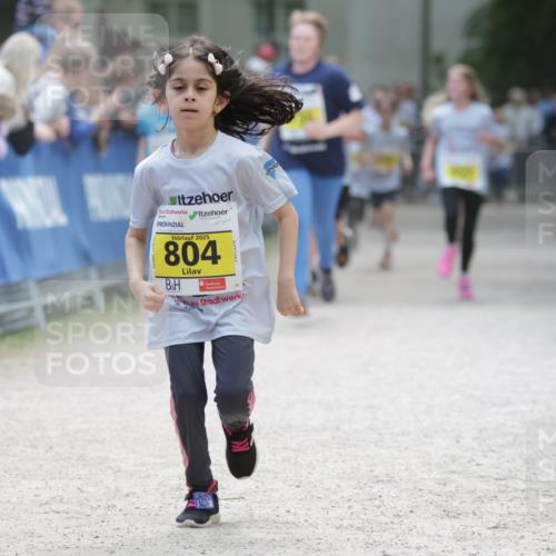 17.05.2025 - Störlauf H.Heesch http://msf.ph/oto/7868045 17.05.2025 14:14:02 Ziel  meine-sportfotos.de