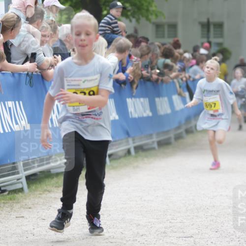 17.05.2025 - Störlauf H.Heesch http://msf.ph/oto/7868287 17.05.2025 14:14:14 Ziel  meine-sportfotos.de
