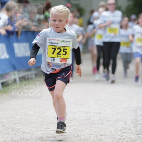 17.05.2025 - Störlauf H.Heesch http://msf.ph/oto/7868508 17.05.2025 14:14:30 Ziel  meine-sportfotos.de