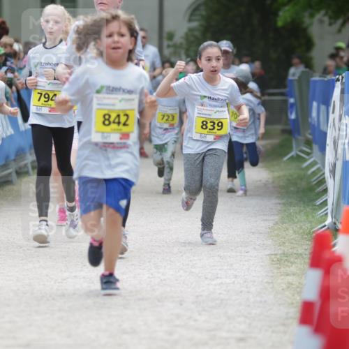 17.05.2025 - Störlauf H.Heesch http://msf.ph/oto/7868551 17.05.2025 14:14:33 Ziel  meine-sportfotos.de