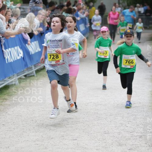 17.05.2025 - Störlauf H.Heesch http://msf.ph/oto/7868731 17.05.2025 14:15:02 Ziel  meine-sportfotos.de