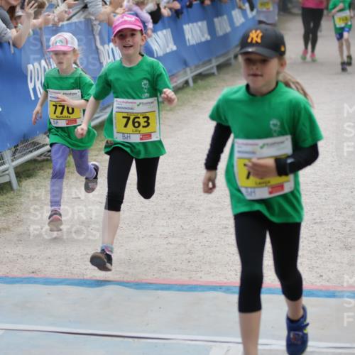 17.05.2025 - Störlauf H.Heesch http://msf.ph/oto/7868776 17.05.2025 14:15:05 Ziel  meine-sportfotos.de